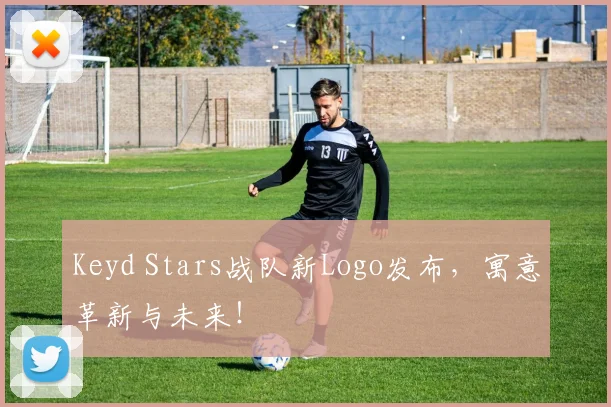 Keyd Stars战队新Logo发布，寓意革新与未来！